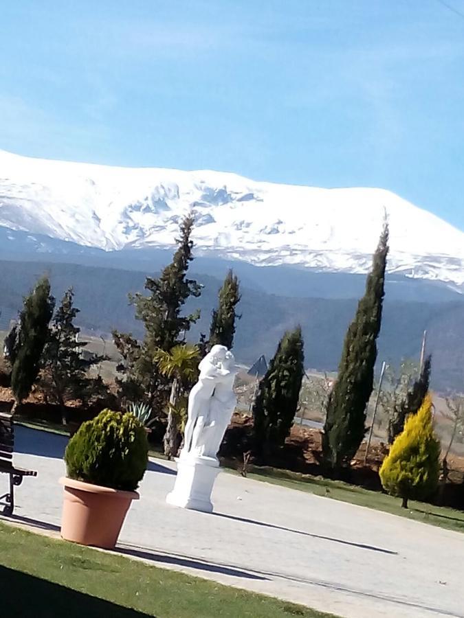 La Hacienda Del Marquesado Otel Albunan Dış mekan fotoğraf