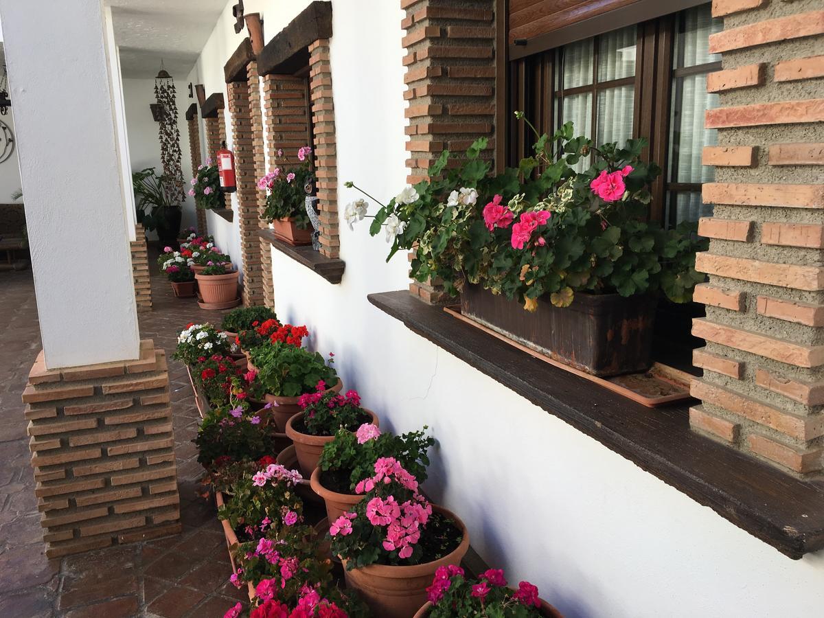 La Hacienda Del Marquesado Otel Albunan Dış mekan fotoğraf